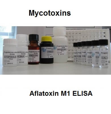 aflatoxin m1 elisa1
