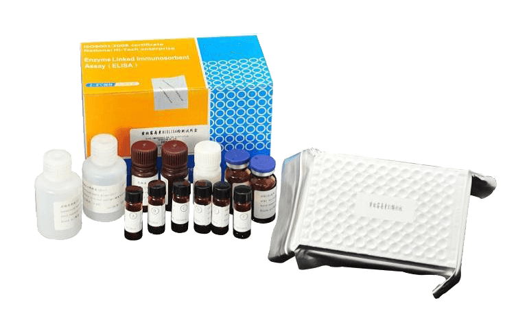 chloramphenicol elisa test kit