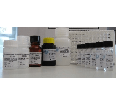 mycotoxins testing