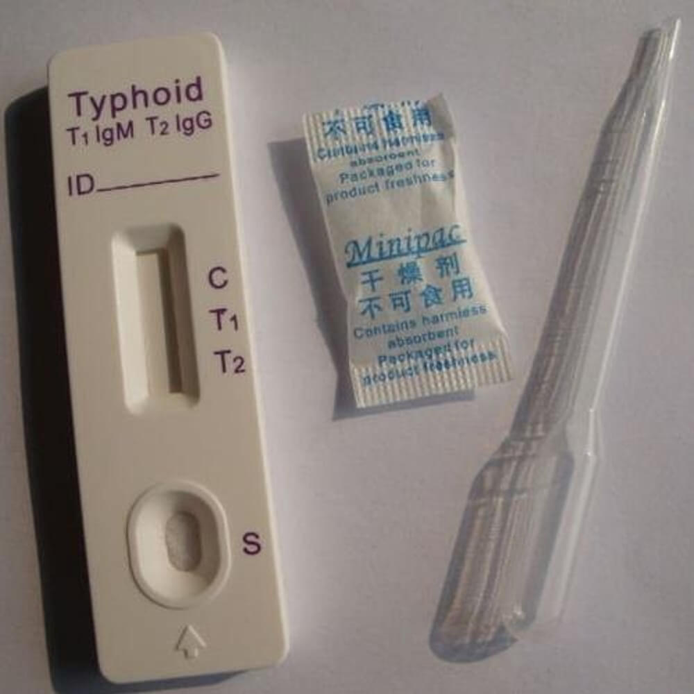 typhoid rapid test