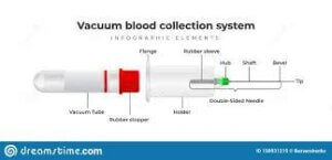 blood collection